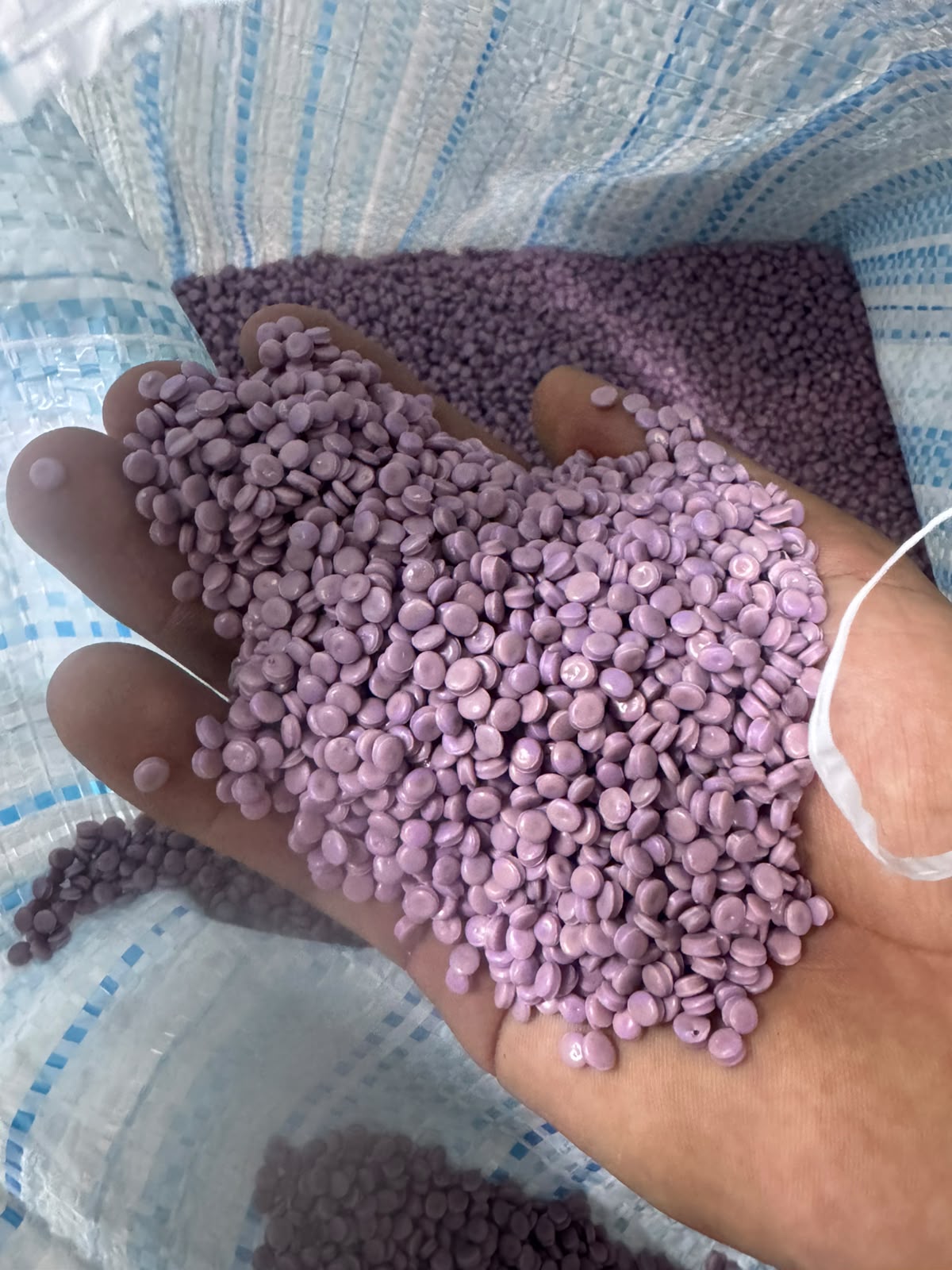 Pellets pigmentados en planta